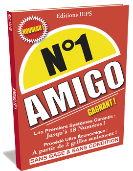 Amigo N1, les premiers systèmes