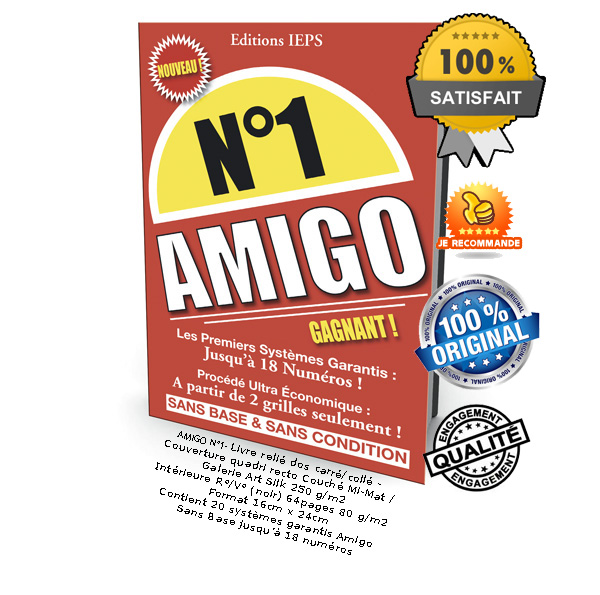 Amigo N1, les premiers systmes