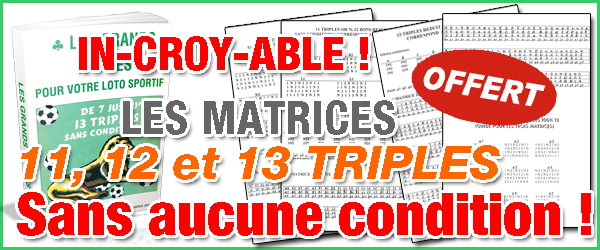 Les matrice 11, 12 et 13 triples sans condition garantis seront jointes Gratuitement  votre achat