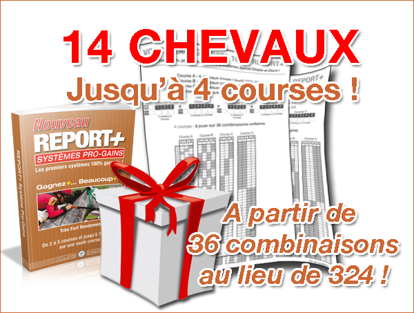 cadeau report plus systemes pro gains 16141